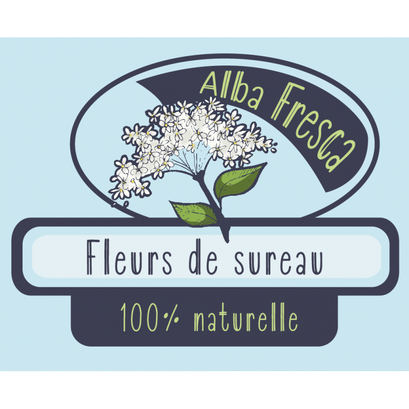 Limonade fleurs de sureau